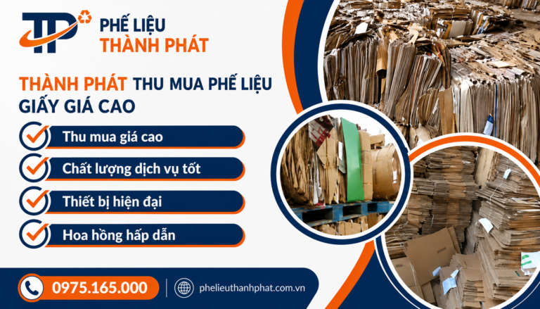 ChatGPT Image 12_41_54 15 thg 5, 2026